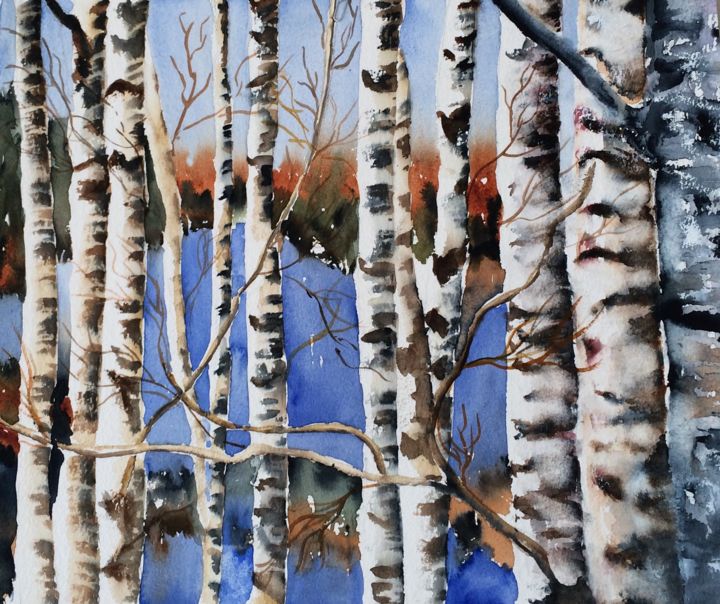 Pittura intitolato "birches.jpg" da Ewa Helzen, Opera d'arte originale, Acquarello