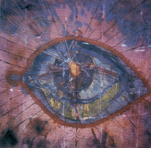 Painting titled "vision" by Dinu Manole, Original Artwork