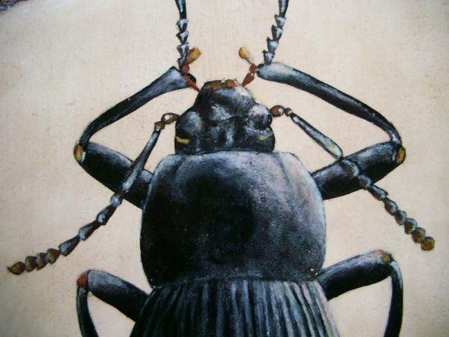 Painting titled "Carabus detail" by Exuvie, Original Artwork