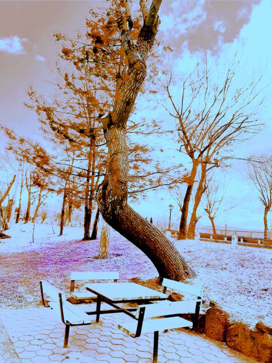 "ağaçlar serisi 67" başlıklı Fotoğraf Eyşan Utku tarafından, Orijinal sanat, Dijital Fotoğrafçılık