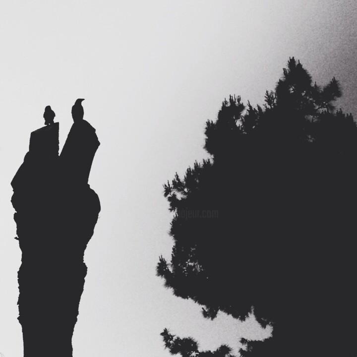 Photography titled "Ravens" by Eyup Ersin, Original Artwork