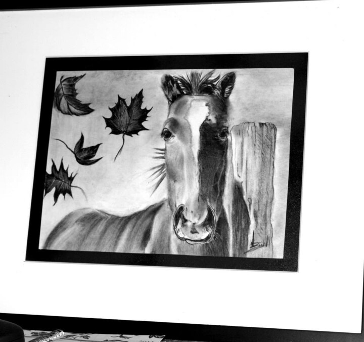 Zeichnungen mit dem Titel "foal-in-fall-art-fa…" von Fabie Buhl, Original-Kunstwerk, Kohle