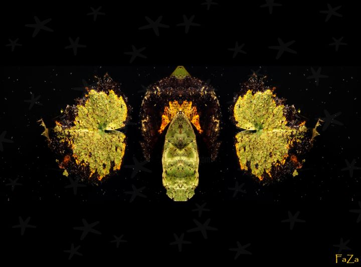 Photography titled "feuilles de nénupha…" by Fabienne Manunza, Original Artwork, Digital Photography