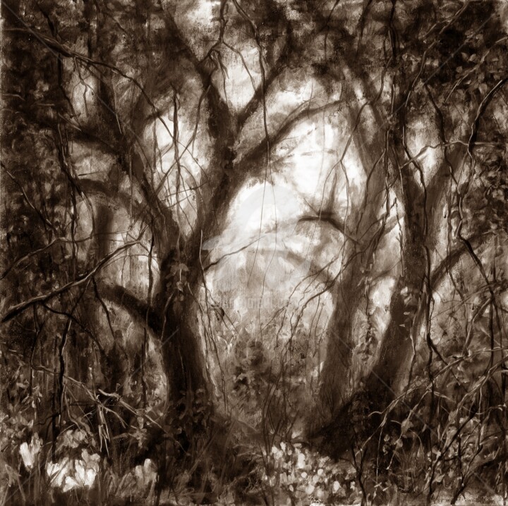 Arts numériques intitulée "Rêve de forêt sépia" par Fabienne Monestier, Œuvre d'art originale, Autre