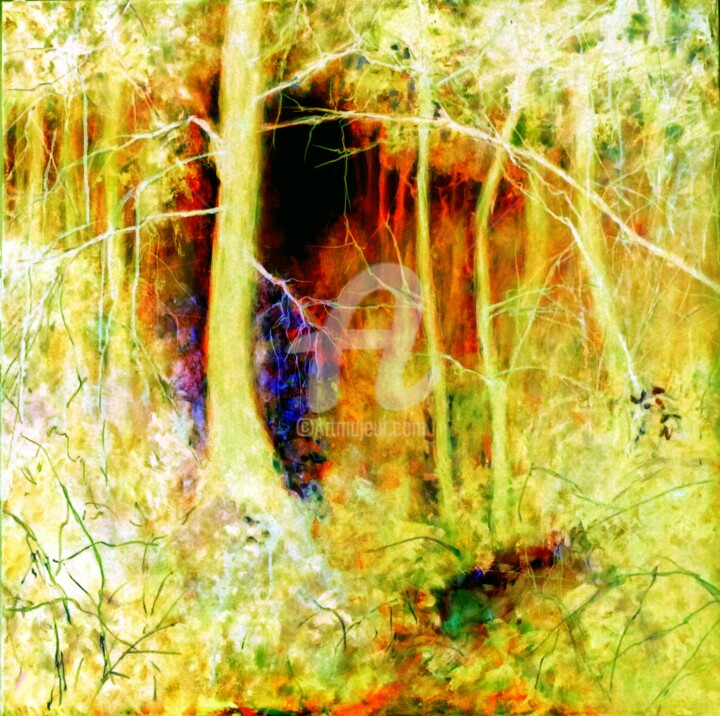 Arts numériques intitulée "Rêve de forêt III" par Fabienne Monestier, Œuvre d'art originale, Autre