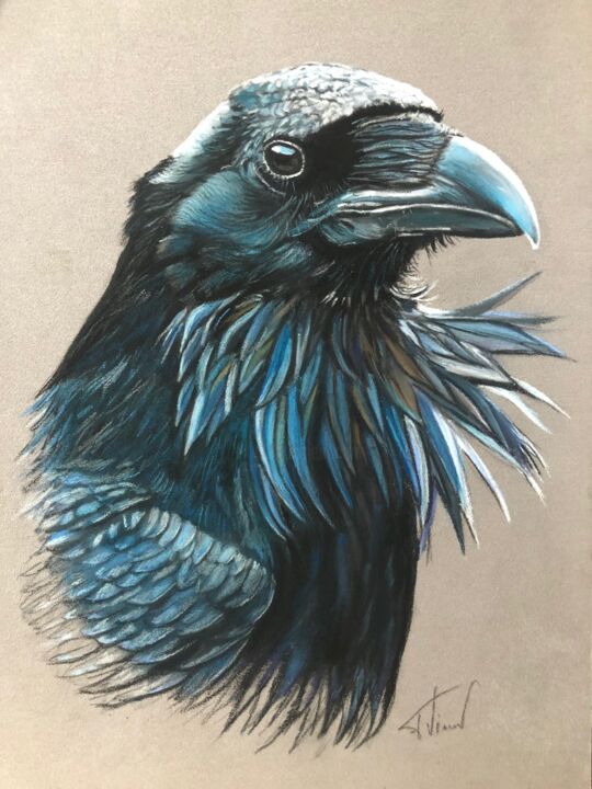Corbeau, Drawing by Fabienne Vincent