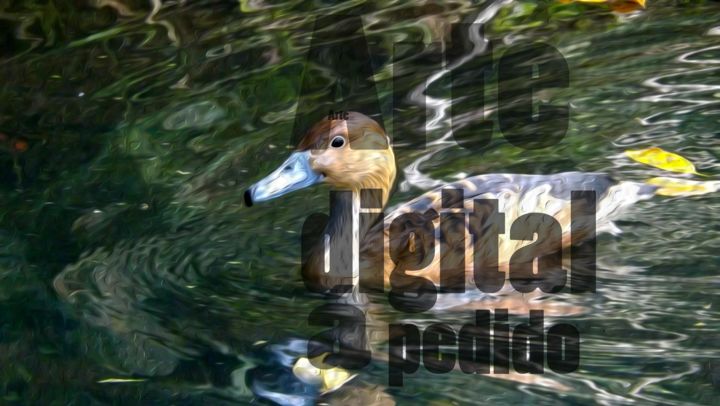 Impressões e gravuras intitulada "Pato no lago" por Fabi, Obras de arte originais, Pintura digital