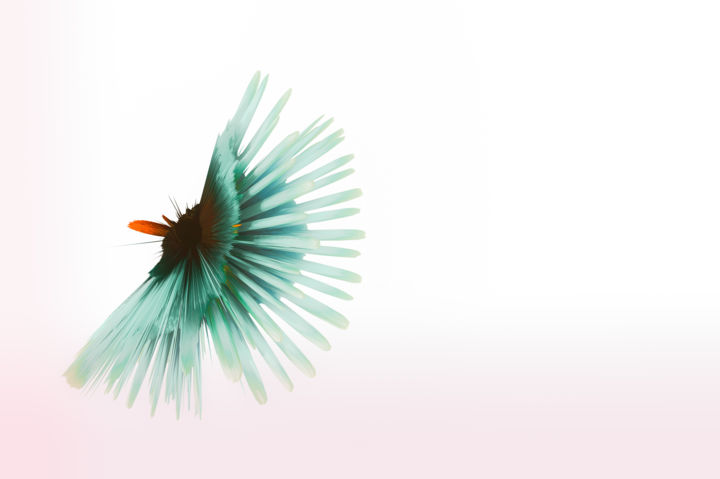 Digitale Kunst mit dem Titel "art-abstract-03.jpg" von Fabrice Blanc, Original-Kunstwerk