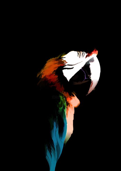 Fotografie mit dem Titel "perroquet.png" von Fabrice Blanc, Original-Kunstwerk