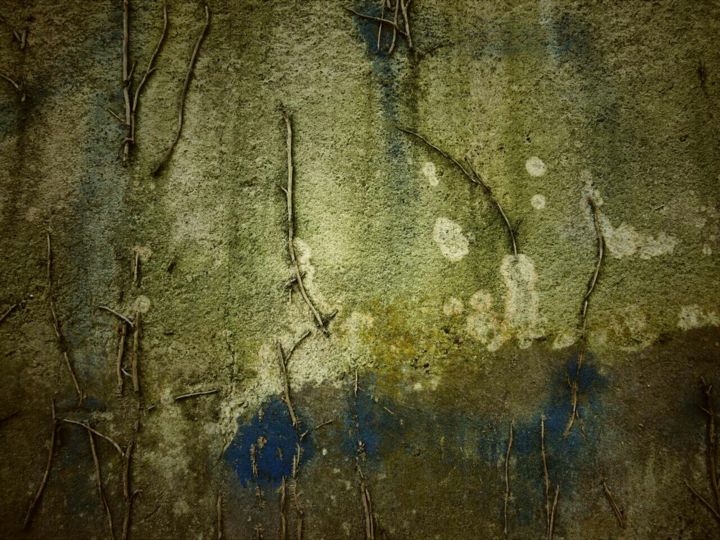 Photography titled "Paysage mural (2)" by Fabrice Cadet, Original Artwork