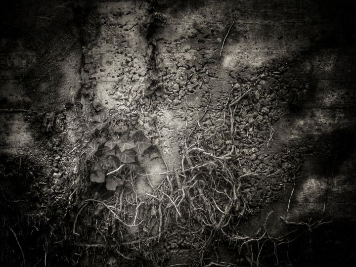 Fotografía titulada "Nature au mur (5)" por Fabrice Cadet, Obra de arte original