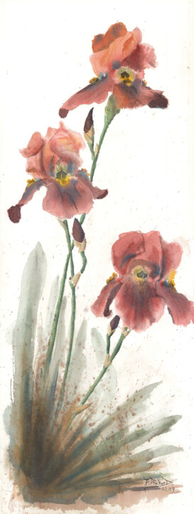 Painting titled "Iris" by Fabrice Richard, Original Artwork, Watercolor