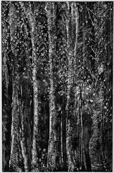 Gravures & estampes intitulée "Racines Arborescent…" par Fabrice Rivière, Œuvre d'art originale, Monotype