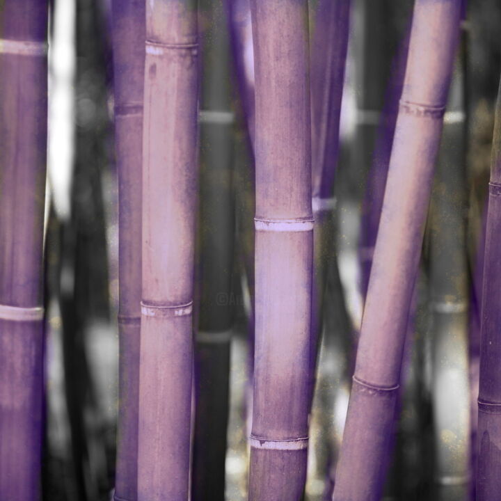 Digital Arts titled "New bamboo" by Fabrice Betti, Original Artwork, Digital Painting