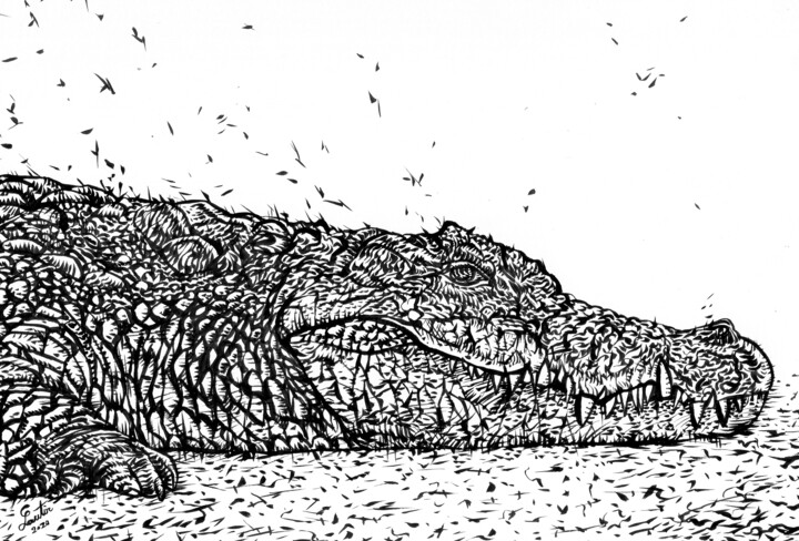 Drawing titled "CROCODILE" by Lautir, Original Artwork, Ink