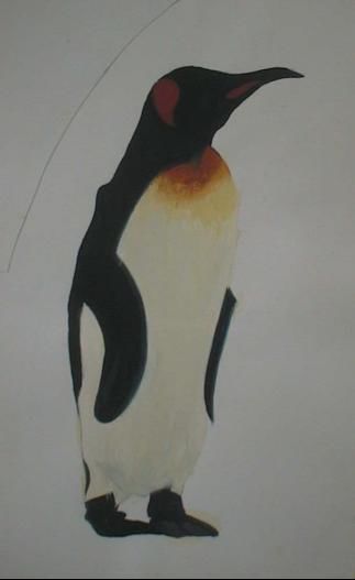 Drawing titled "pingouin" by Hajar Fahssi, Original Artwork