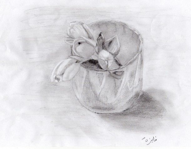 Disegno intitolato "Tulipes" da Faiza Bourhaleb, Opera d'arte originale