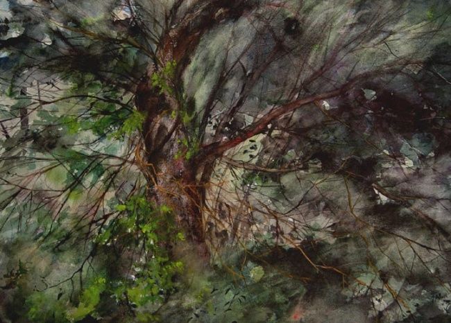 Painting titled "Thorny Apple" by Jody Fallon, Original Artwork, Oil