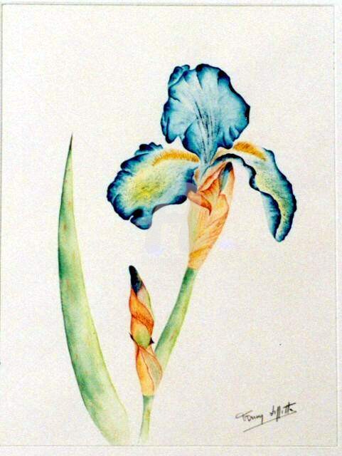 Painting titled "Iris" by Fanny Laffitte, Original Artwork, Oil