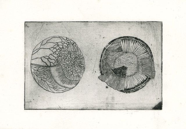 Printmaking titled "Anatomie III" by Bueb Fanny, Original Artwork, Etching