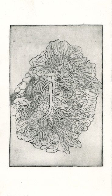 Printmaking titled "Anatomie VIII" by Bueb Fanny, Original Artwork, Etching