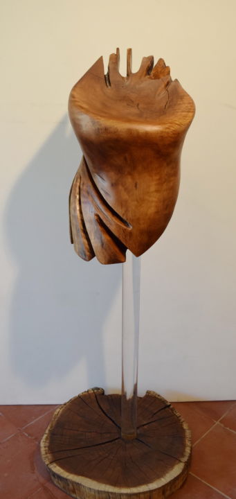 Sculpture intitulée "Liven up" par Fariba Rahaei, Œuvre d'art originale, Bois