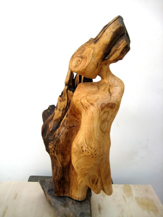 Sculptuur getiteld "To be free" door Fariba Rahaei, Origineel Kunstwerk, Hout