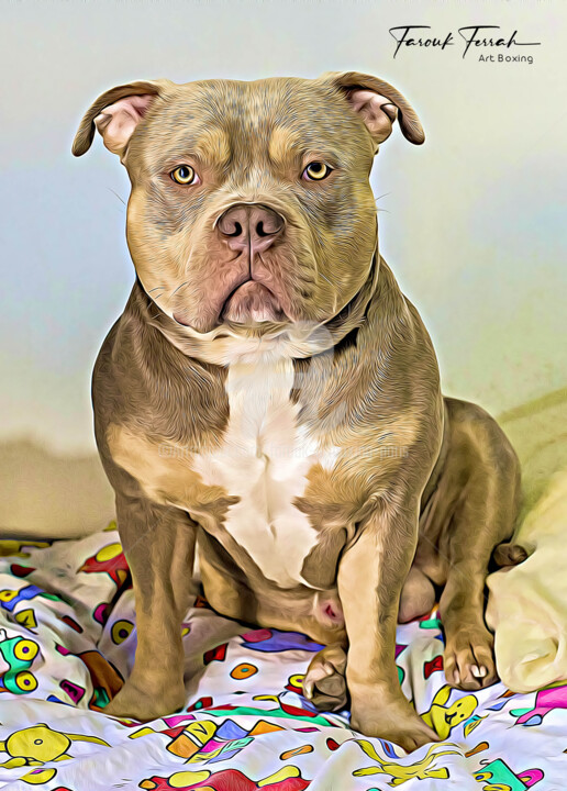 Photographie intitulée "American Bully" par Farouk Ferrah, Œuvre d'art originale, Photographie manipulée