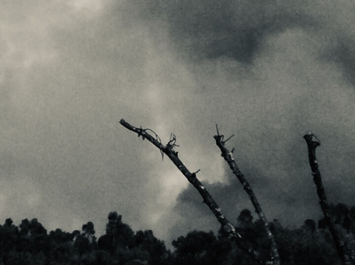 Photographie intitulée "Cloud of smoke over…" par Fatima Fernandes, Œuvre d'art originale, Photographie numérique