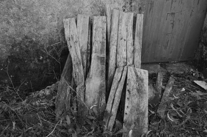Fotografía titulada "Lumber wood" por Fatima Fernandes, Obra de arte original, Fotografía digital