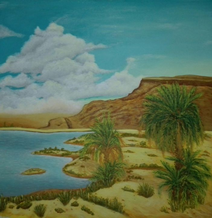 Peinture intitulée "paysage désert" par Fatima Zahra, Œuvre d'art originale, Acrylique