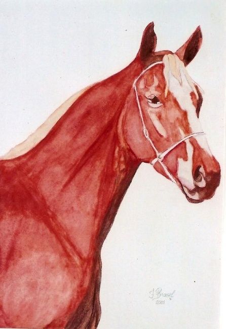 Painting titled "Cavalo manso" by F.Brasil, Original Artwork, Oil