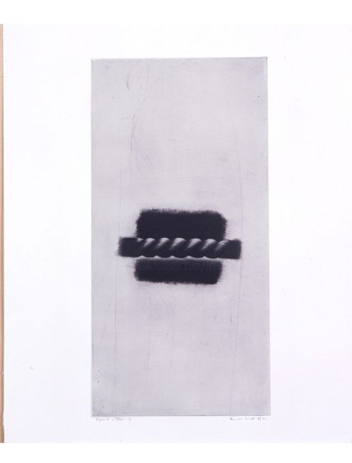 Estampas & grabados titulada "Noeud 2" por François Crinel, Obra de arte original, Grabado