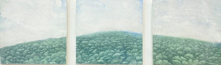 Estampas & grabados titulada "Tryptique Ersa" por François Crinel, Obra de arte original, Grabado Montado en Panel de madera