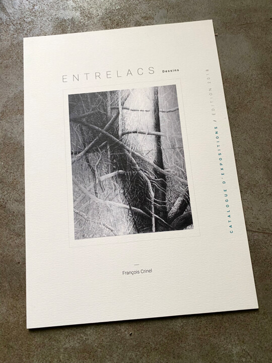 Fotografie getiteld "Catalogue "Entrelac…" door François Crinel, Origineel Kunstwerk, Digitale fotografie