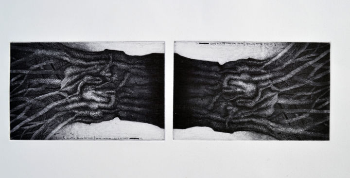 Estampas & grabados titulada "Leurs nids" por François Crinel, Obra de arte original, Aguafuerte