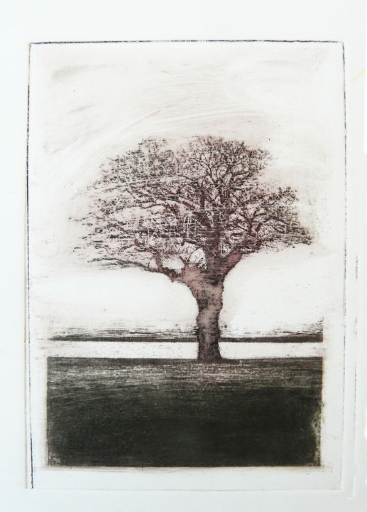 Printmaking titled "Roche-Colombe 3" by François Crinel, Original Artwork