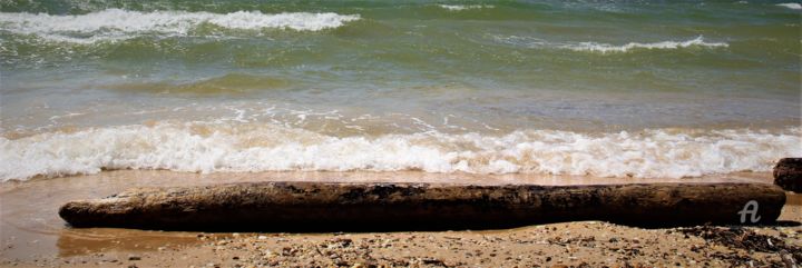 Fotografia intitulada "Bois Flot'Hé Végétal" por Féemerode, Obras de arte originais