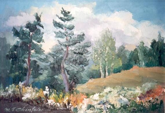 Painting titled "Canadian view" by Cinda Vionela, Original Art,