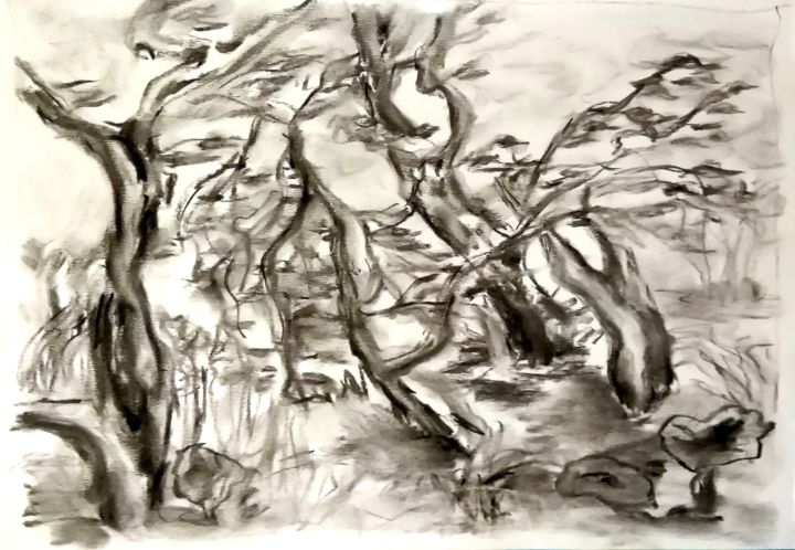 Dibujo titulada "Танцующие яблони." por Irina Dubinina, Obra de arte original, Carbón