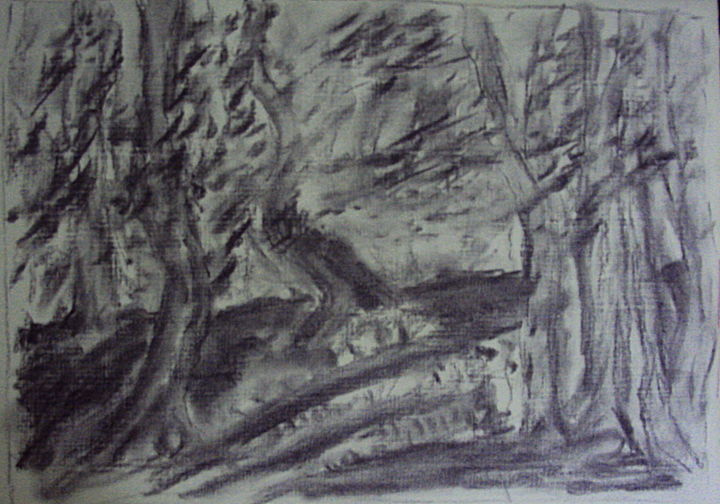 Desenho intitulada "Деревья на берегу." por Irina Dubinina, Obras de arte originais, Carvão