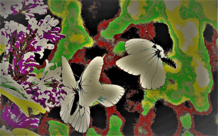 Digital Arts με τίτλο "Бабочки." από Irina Dubinina, Αυθεντικά έργα τέχνης, 2D ψηφιακή εργασία