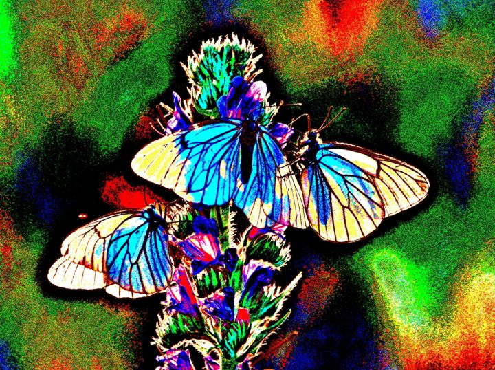 Цифровое искусство под названием "Мир бабочек." - Irina Dubinina, Подлинное произведение искусства, Фотомонтаж