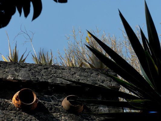 Mexico 2010 7 - Photography ©2012 by Fernanda Carvalho -