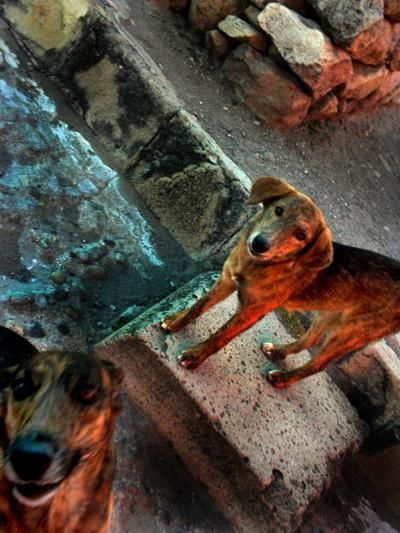 Mexico 2010 22 - Photography ©2012 by Fernanda Carvalho -