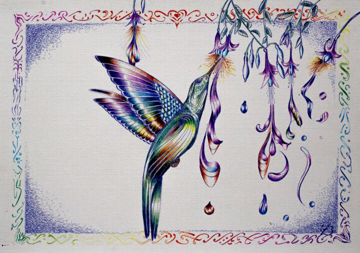 Peinture intitulée "Colibri" par Fernando Bressan, Œuvre d'art originale, Encre