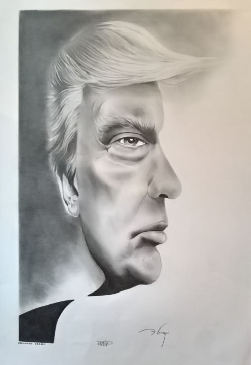 图画 标题为“Donald  Trump” 由Fernando Cezan, 原创艺术品