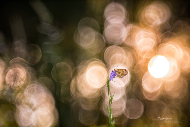 Fotografía titulada "Oniria I" por Fernando Iniesta Lozano, Obra de arte original, Fotografía digital