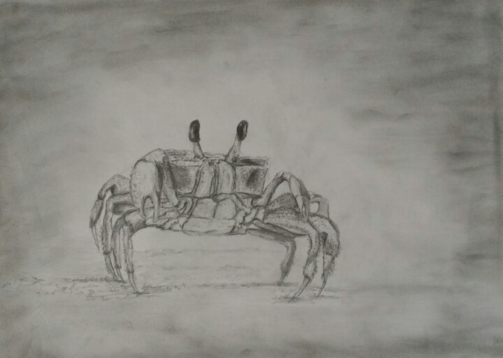 Drawing titled "The crab" by Fernando Josei Kanashiro Pereira, Original Artwork, Graphite