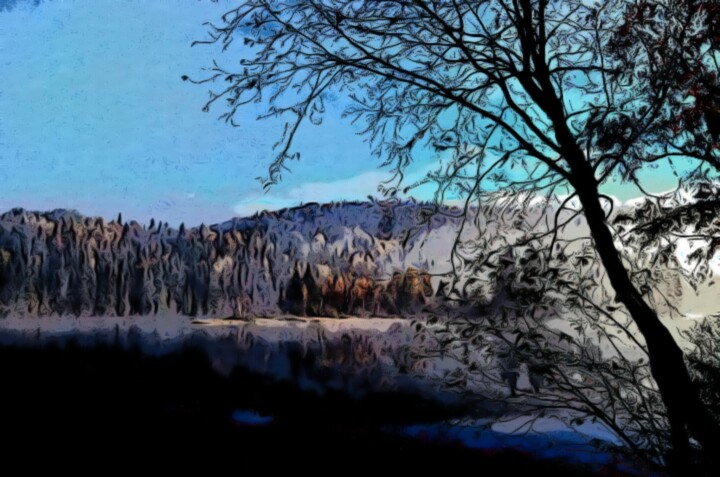 Fotografie mit dem Titel "Enchanted Haven: Th…" von Fetux_lines, Original-Kunstwerk, Light Painting